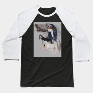 Saluki Medley Baseball T-Shirt